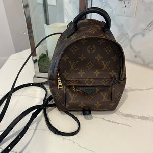 Louis Vuitton Palm Springs mini bag